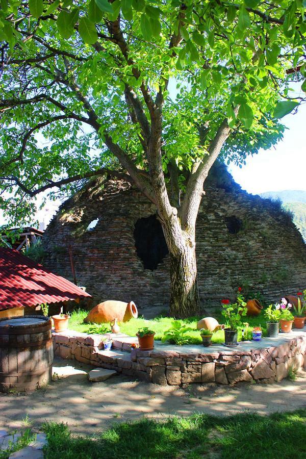 Hotel Beni Akhaltsikhe  Exterior photo